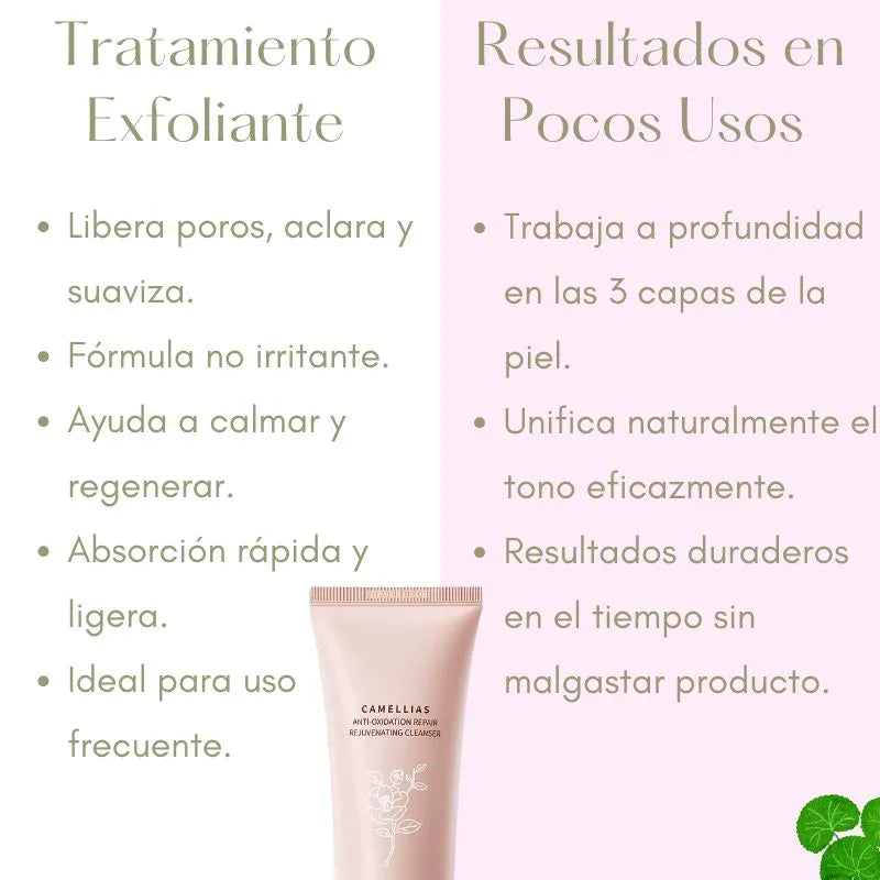 Camellias - Libera Poros, Suaviza y Aclara